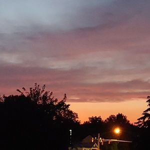 Meet your Posher, Kody